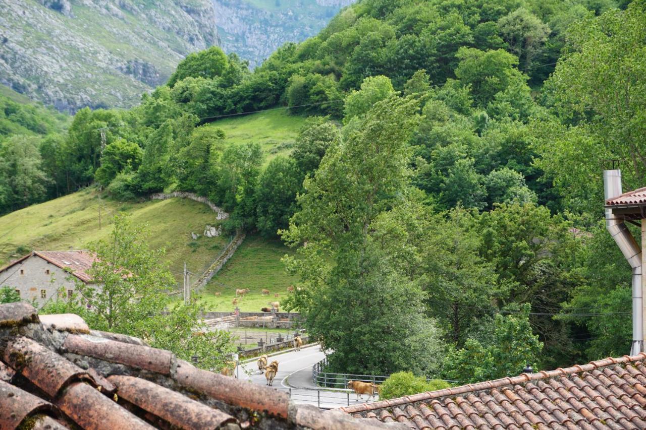 Apartahotel Montecaoru Arenas De Cabrales Zewnętrze zdjęcie